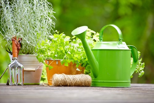 Customized deck designs for outdoor spaces
