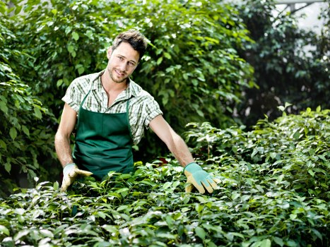 Garden assessment and planning by clearance experts in Addiscombe