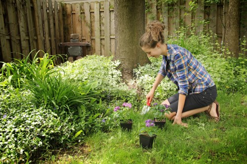 A young woman with brown hair tied back, dressed in a blue plaid shirt and black shorts, is kneeling on a lush, green lawn in a backyard garden. She is carefully planting small flowering plants in black plastic pots, which are placed on the grass around her. The garden features a variety of leafy green plants, including tall grass-like foliage and low-growing shrubs, with vibrant purple and white flowers near the base of a large tree trunk. In the background, a weathered wooden fence encloses the space, and an old metal barbecue or garden feature is visible among the greenery. The scene appears to be outdoors on a bright, possibly spring or summer day, with natural light illuminating the well-maintained garden area, reflecting the gardening and landscaping services offered by Hedge Trimming Addiscombe in the local Croydon postcode area.